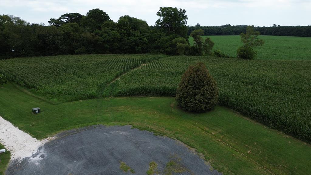 Largest lot located at the end of the cul-de-sac in beautiful Winding Creek Subdivision! This 5.12 acre lot is primarily cleared with a thick tree line. Survey on file. Come build your DREAM HOME!  OWNER FINANCING AVAILABLE!!!