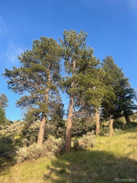Lot 4630 Spring Road