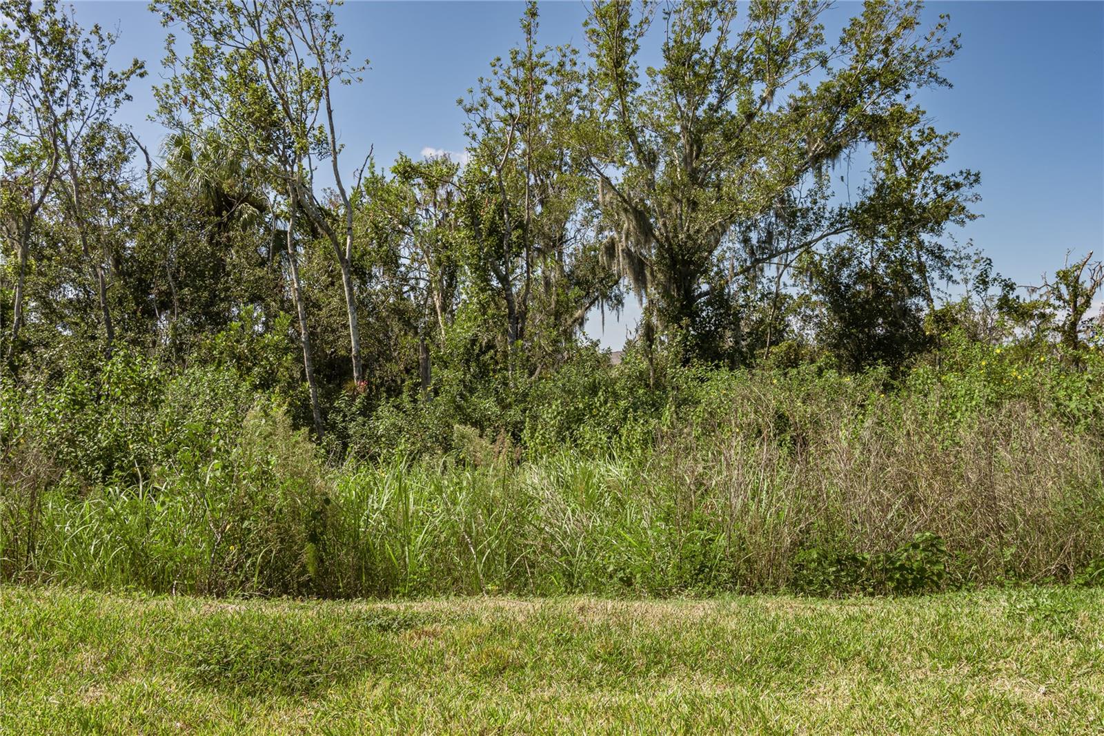 11923 Lilac Pearl Lane