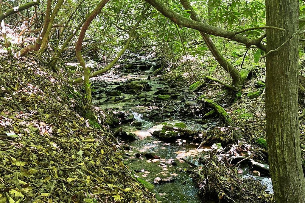 Discover Tusquittee Valley, a desirable 1.30-acre lot that merges scenic mountain views with easy access to Hayesville. The lot includes paved roads, underground utilities, and a small creek running through it. Close to USFS trails and Lake Chatuge. Affordable property to purchase now and build at your convenience.