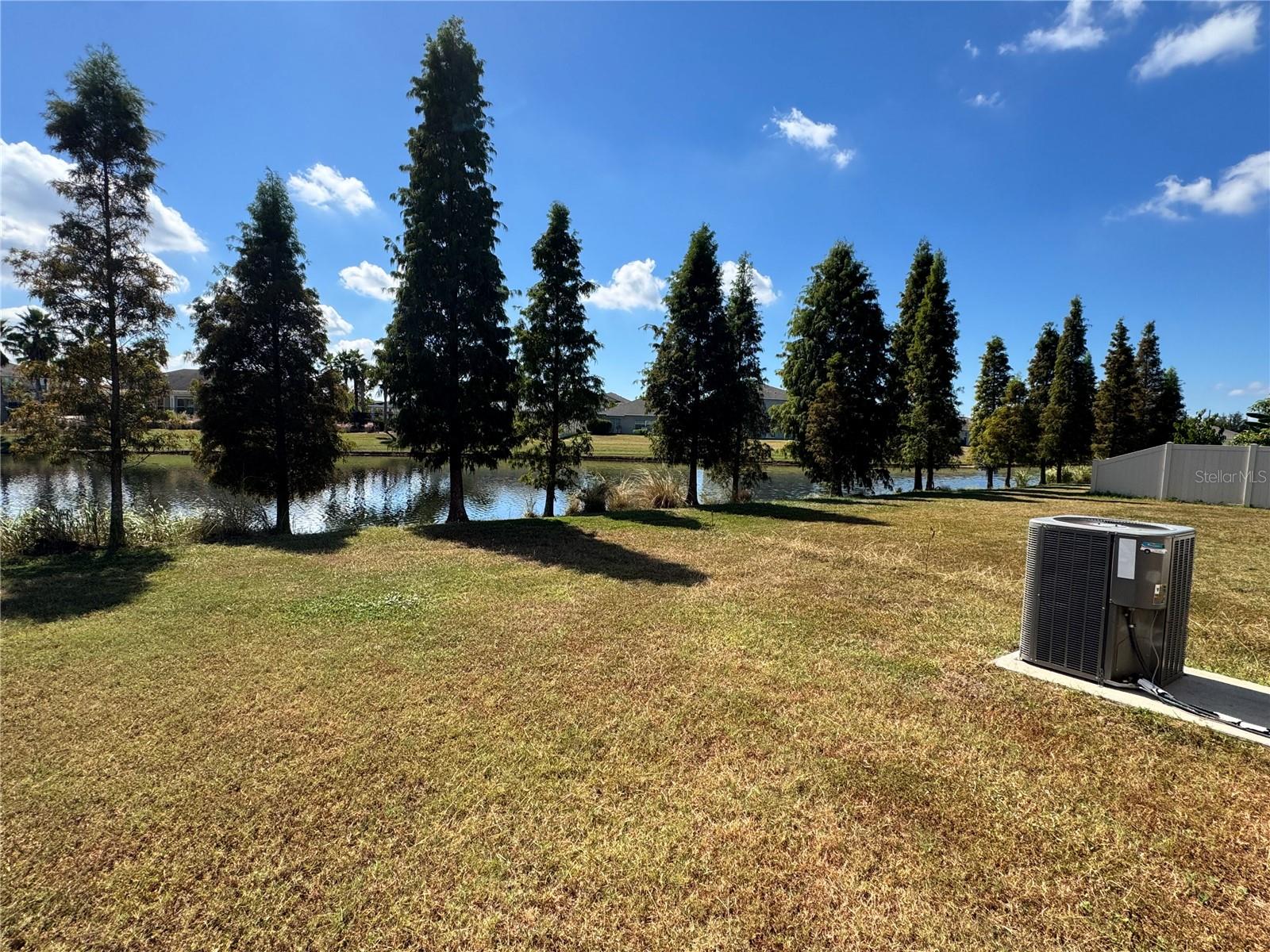 10021 Crested Fringe Drive