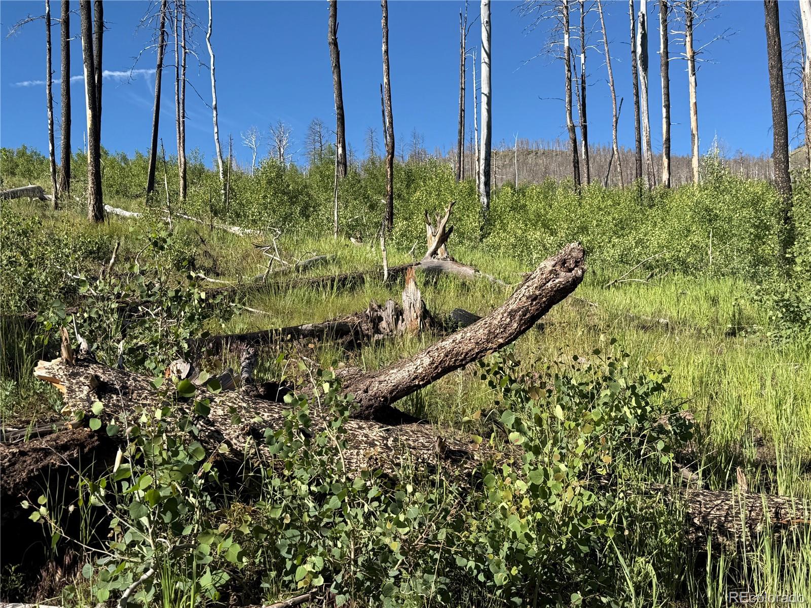 Lot 775 Forbes Park Road