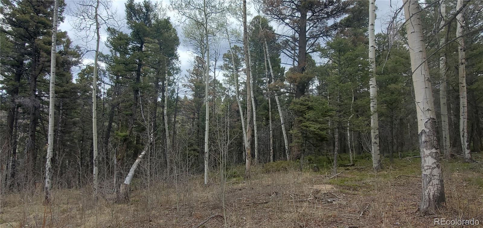 Lot 6090 Vreeland Road
