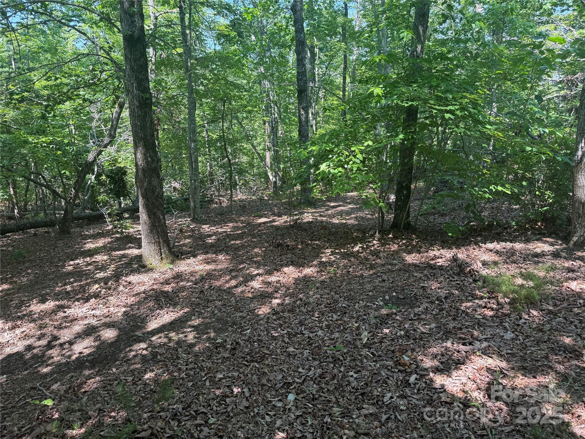 0 Crescent Ridge Lane 373