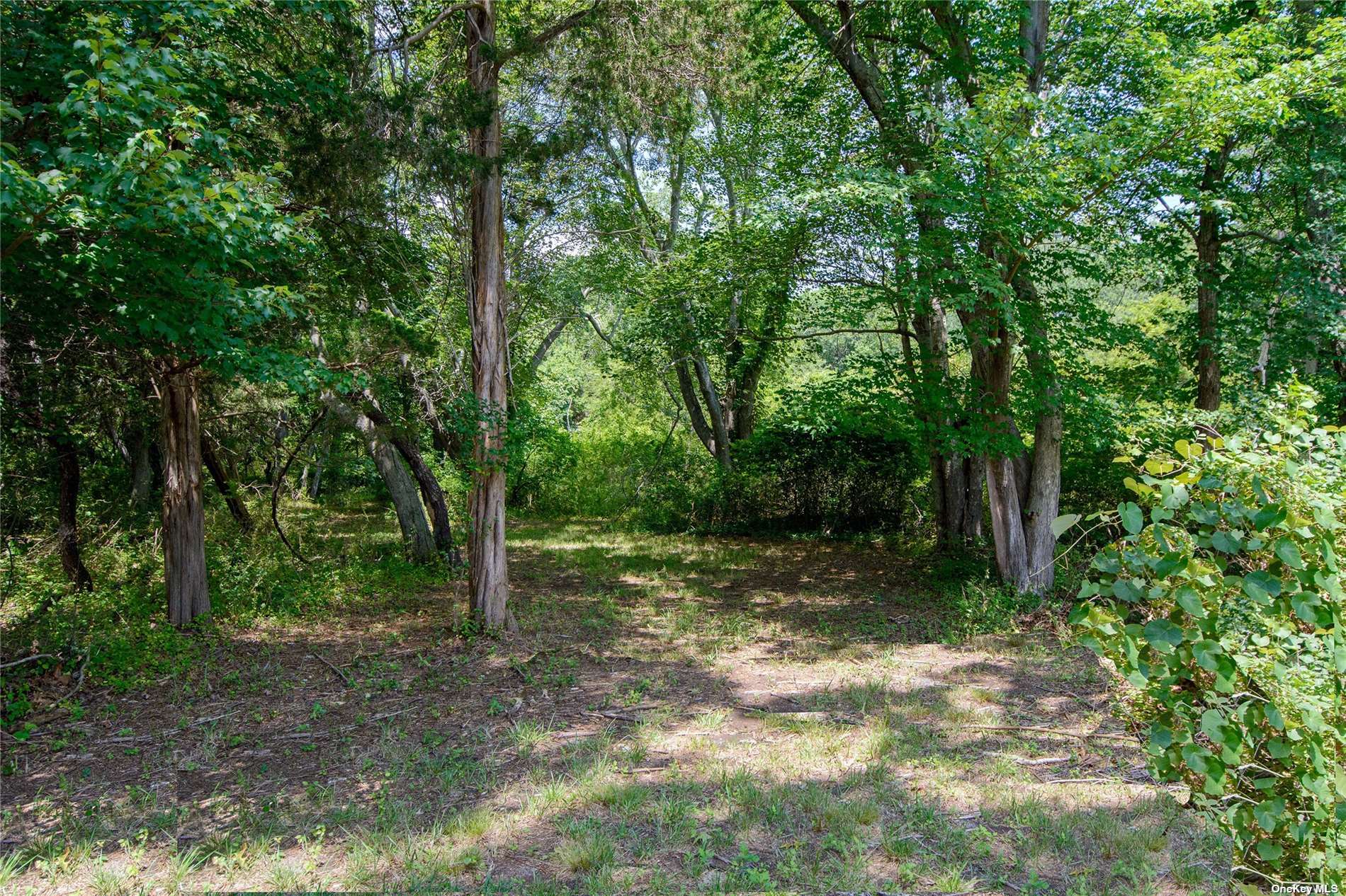 Land for sale in East Quogue, New York, 3516161
