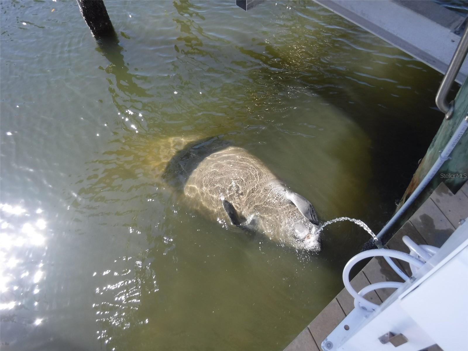 10313 Waterbird Way 4