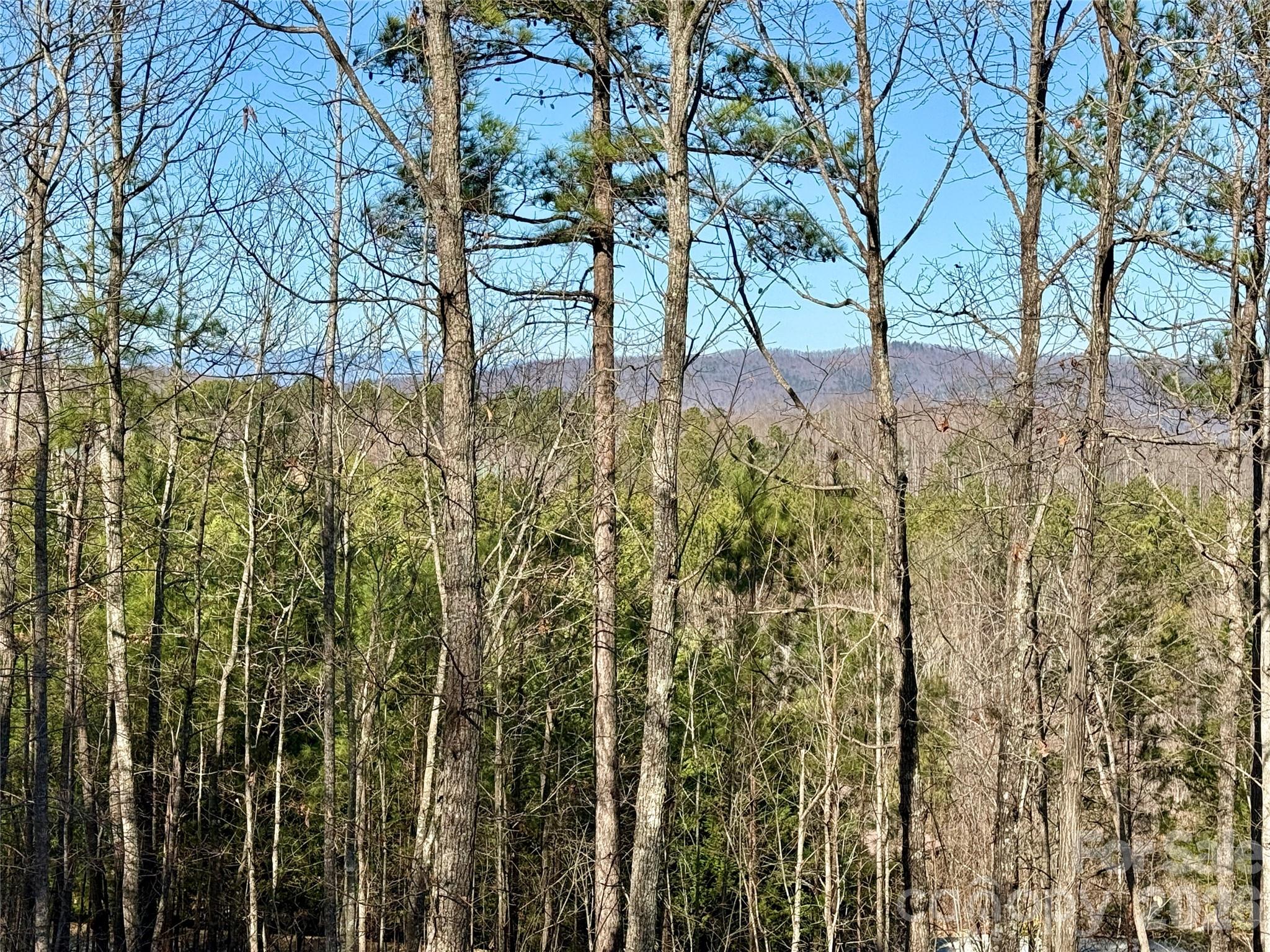 338 Grandview Peaks Drive 36