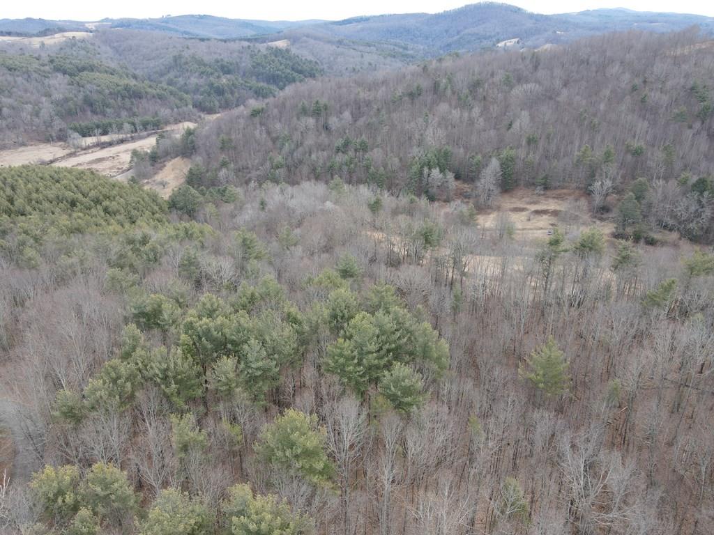 Discover the perfect blend of privacy, beauty, and convenience with this stunning 15.3320-acre tract (lots 11, 12 and 13) located in the desirable Meadowview Heights subdivision in Woodlawn. Previously perc tested for a 3-bedroom home and with electricity available, this property is ready for your dream build. The secret enclave of this property is a hidden knoll with a panoramic  view of the Crooked Creek Conservation Area.   Envision your private mountain retreat, full-time residence, or peaceful getaway cabin from several possible ideal settings among a serene, wooded mix of mature hardwoods and pines, and with established logging road beds providing easy access throughout the property.    Enjoy peaceful creek and meadow views in the kind of seclusion that feels miles away from it all - yet you're conveniently located between Hillsville and Galax. With paved road frontage for easy access and breathtaking natural views in every direction, this property offers both tranquility and practicality.