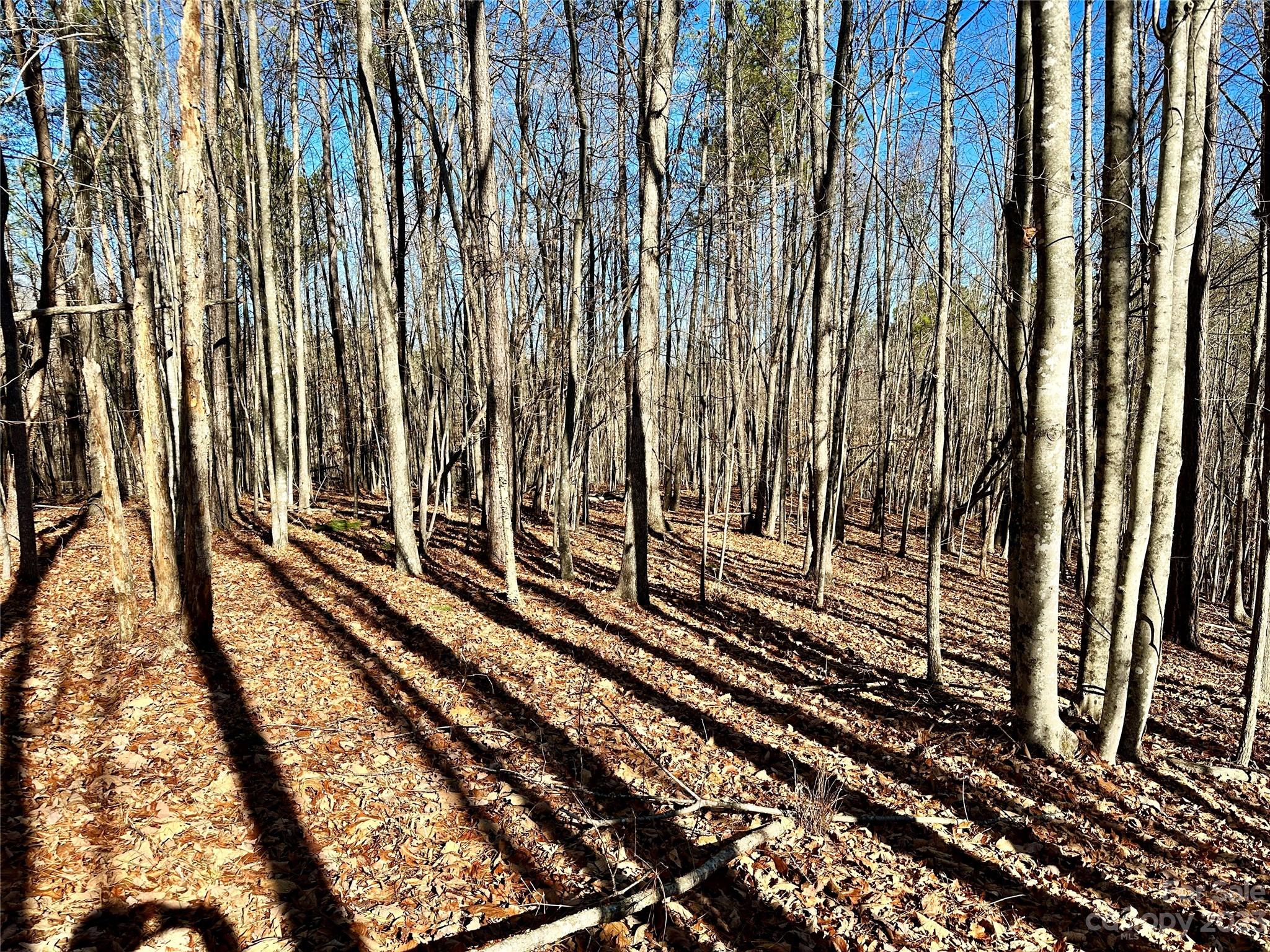 109 Highland Trail 471