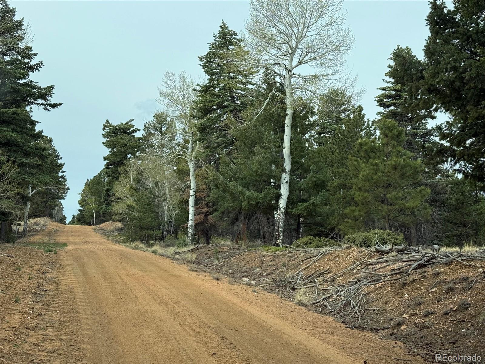 Lot 152 Tahmoush Lane