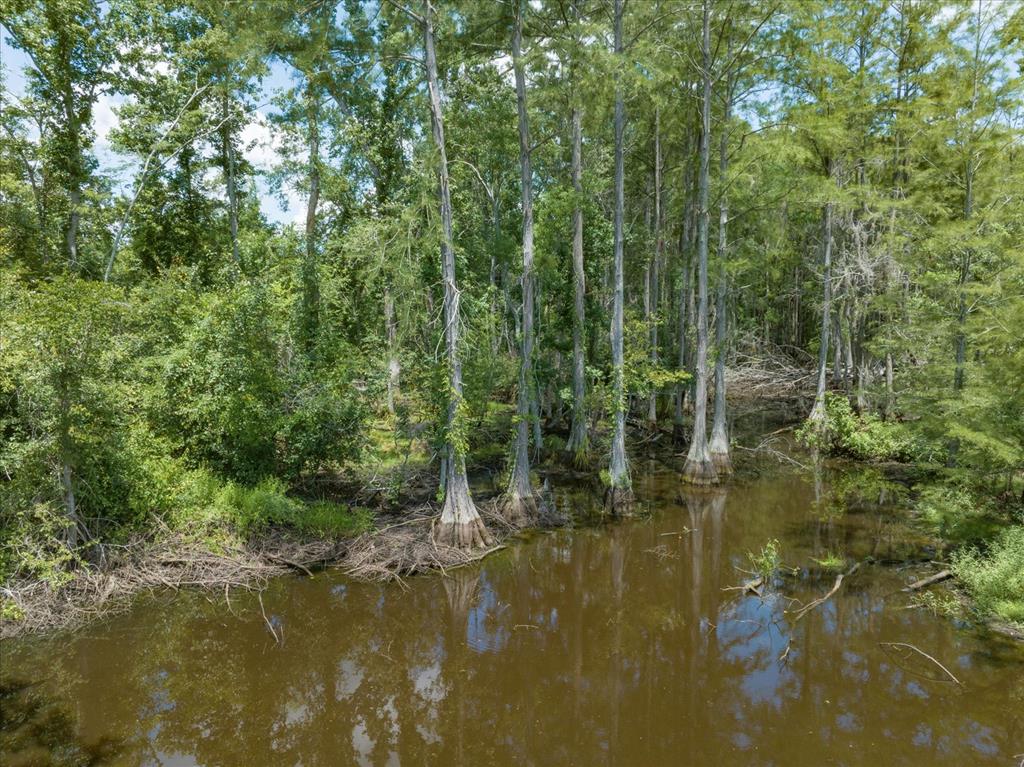 Discover 11.47 beautiful acres on Dry Lake Road in Boston, GA — the perfect blend of natural beauty and practical potential.  This versatile property offers paved road frontage for easy access, a serene pond for fishing or relaxing, and the ability to divide, making it an excellent opportunity for a private estate, mini-farm, or multiple home sites. With a mix of open space and shade trees, the land is ideal for building your dream home, starting a small homestead, or investing in the future.  Located in the quiet countryside yet just a short drive from charming downtown Boston and nearby Thomasville, this property delivers the peace of rural living without sacrificing convenience.  Whether you're looking for a private retreat or a smart land investment, this 11.47-acre tract on Dry Lake Road is full of possibility. Don't miss your chance—come walk the property and imagine the future!