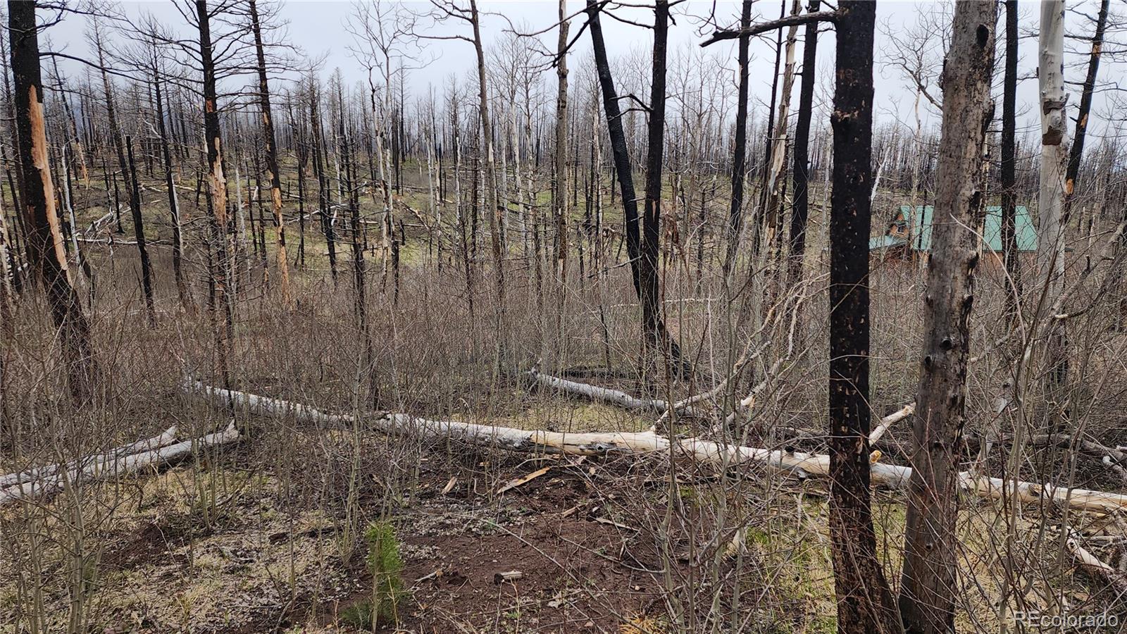 Lot 1735 Mara Loop