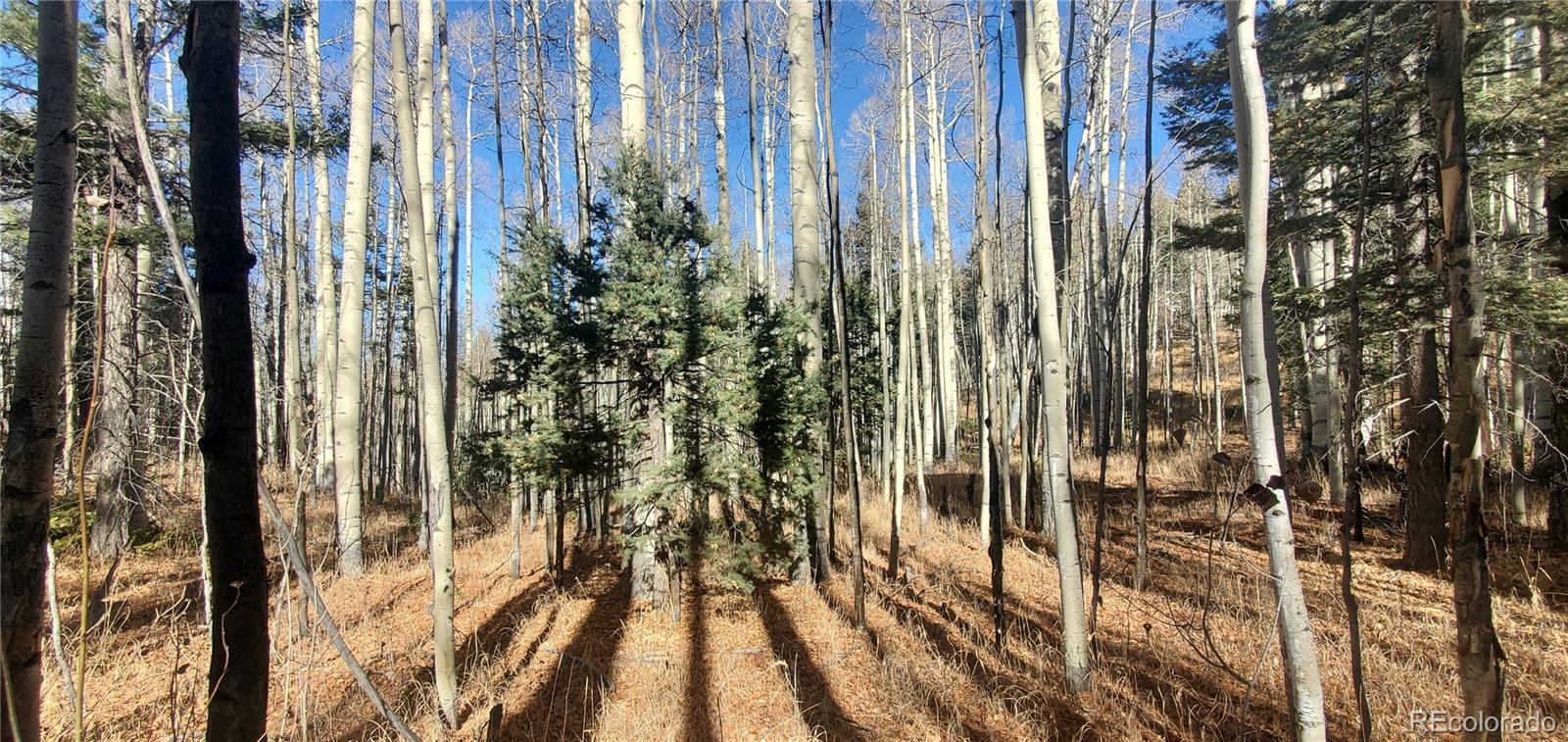 Lot 6060 Forbes Road