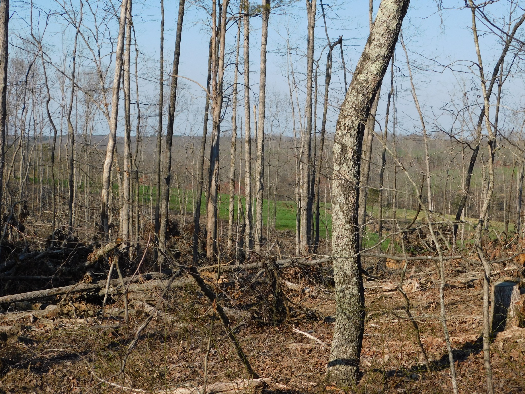 0 Lucas Ridge Road
