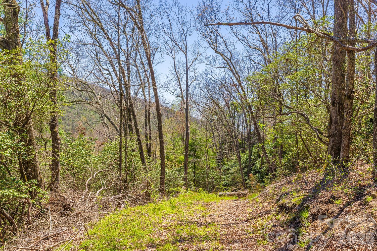 9999 Fairview Forest Drive