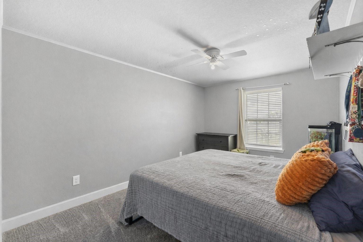 8523 Rain Lily Crossing