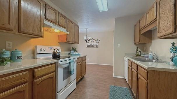 7524 Blue Sage Circle