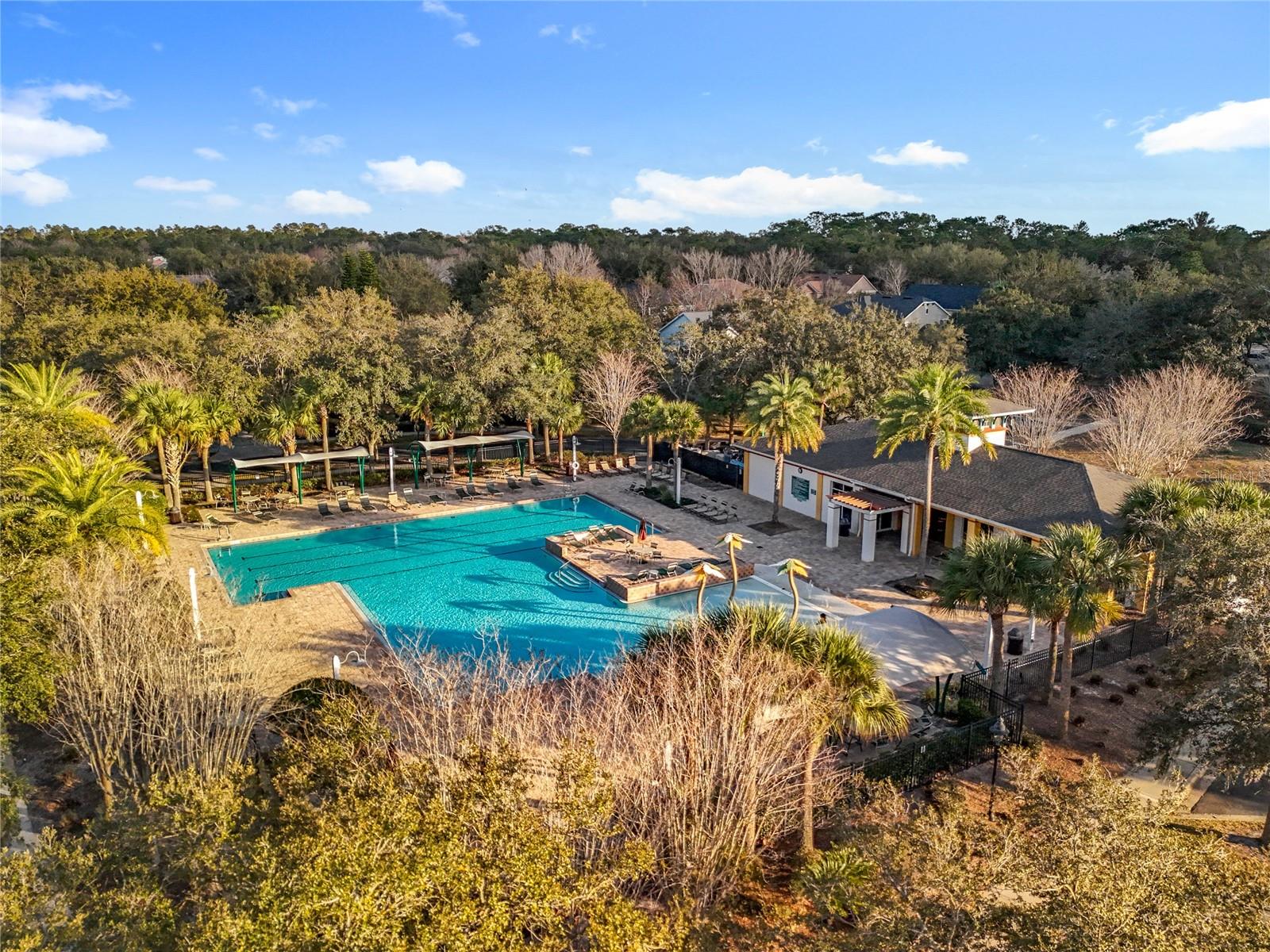 295 Northcote Court