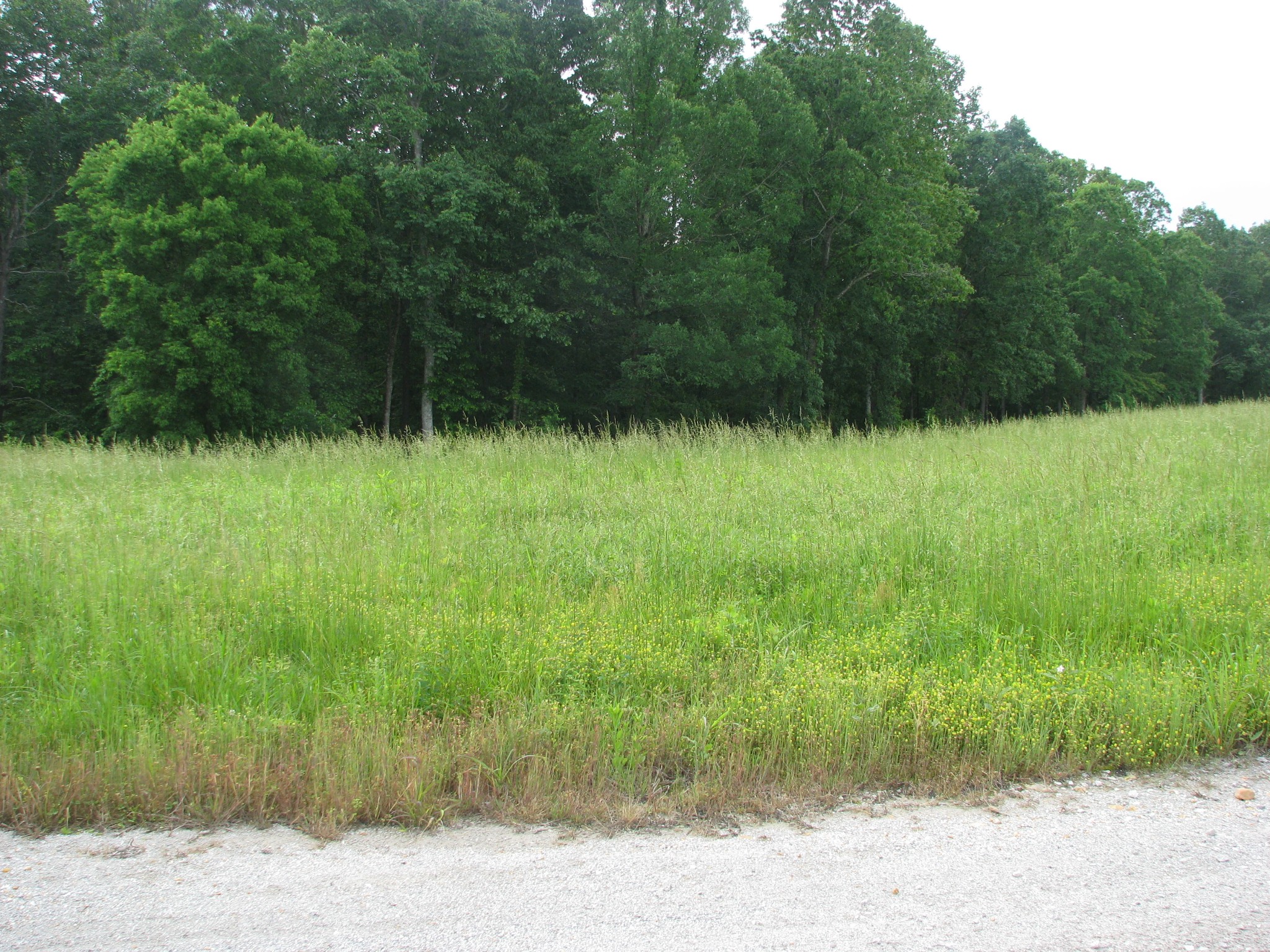 0 Barge Lane