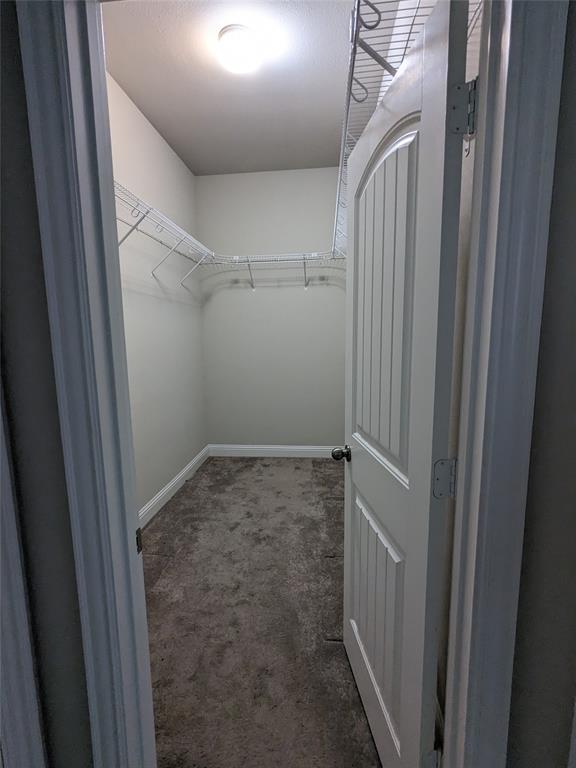 3741 Cecelia Lane