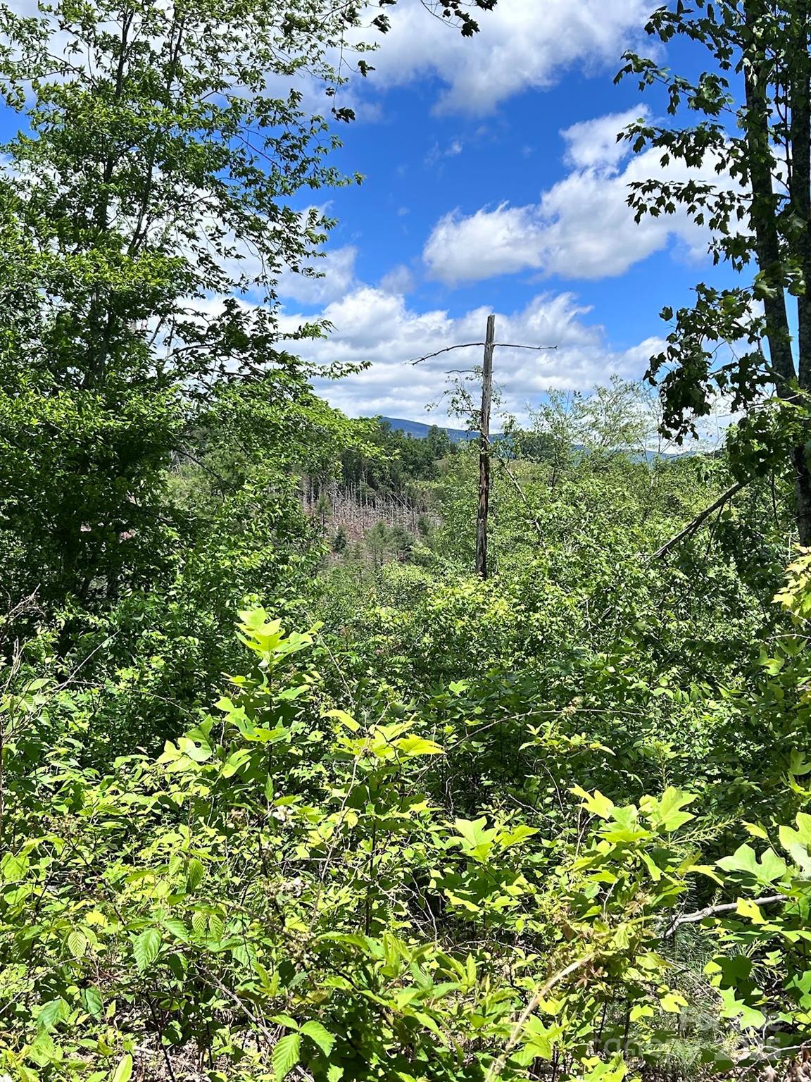 611 Johnson Hollow Road