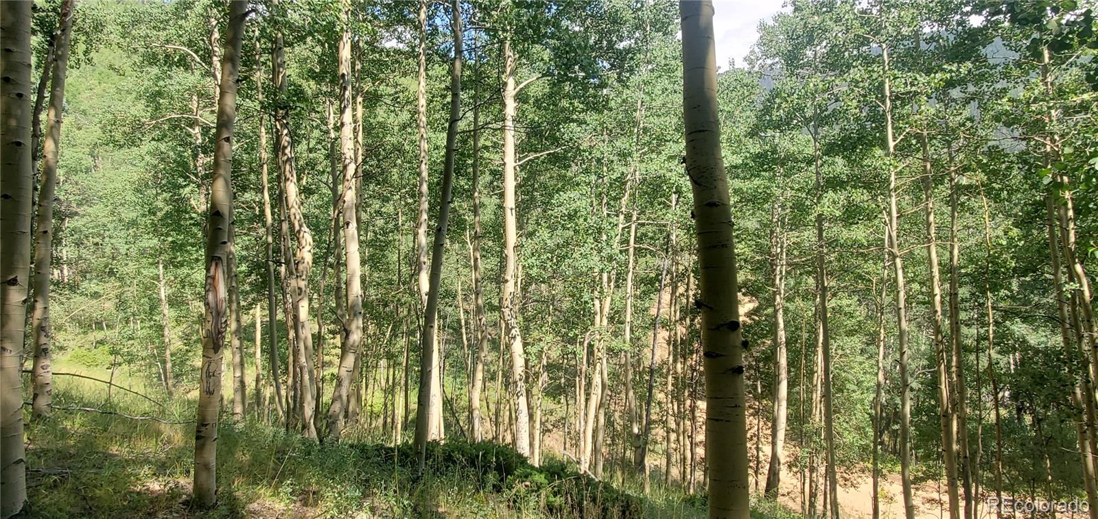 Lot 6882 Donna Road