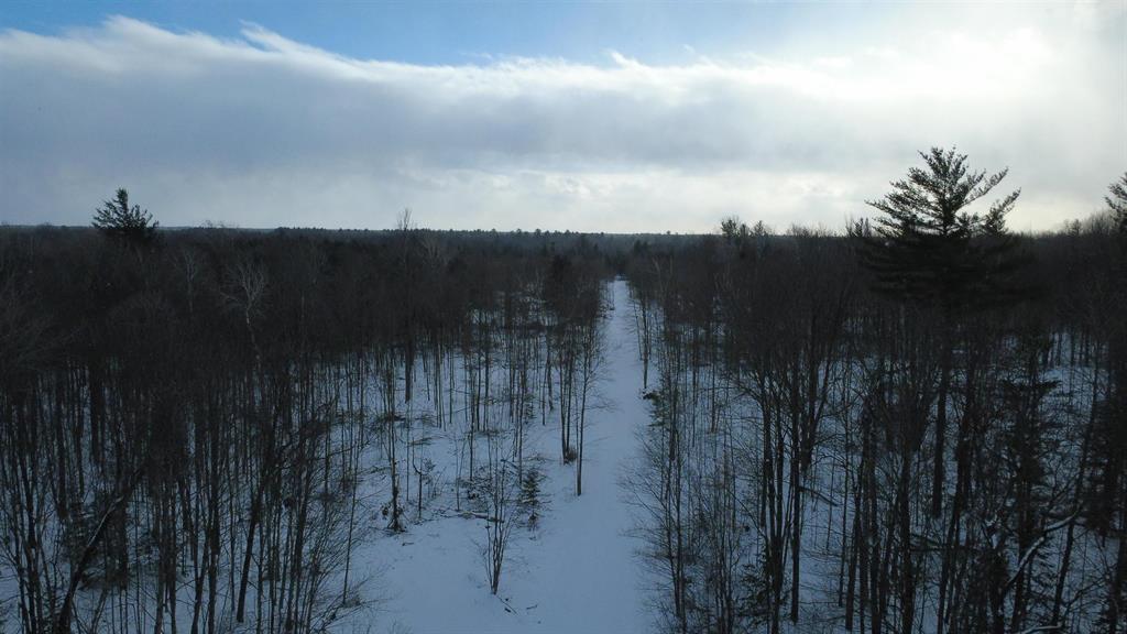 46 acres of timbered land in Ogemaw County. Easy access from I-75. Close to West Branch for great shopping, dining, entertainment and more.