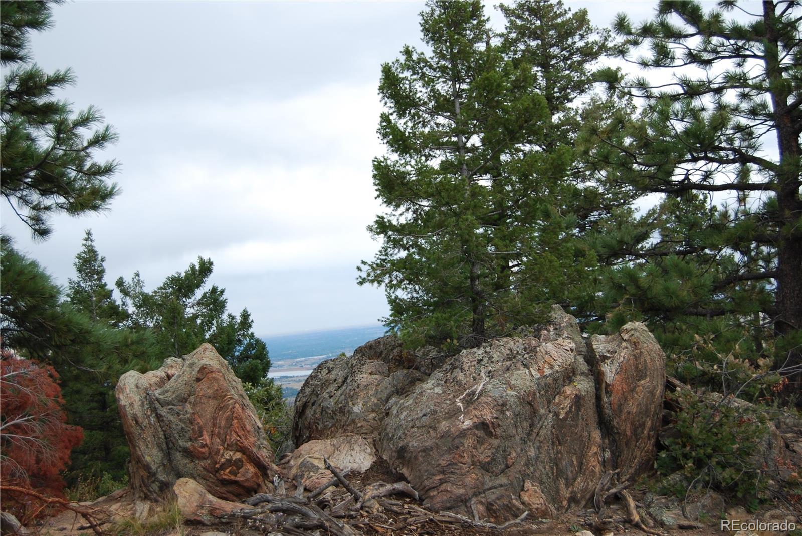 13927 Dancing Bear Trail