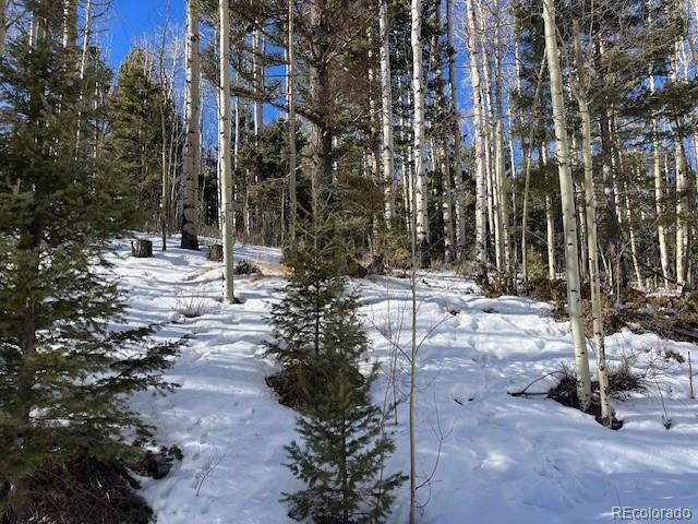 Lot 5252 Scott Road