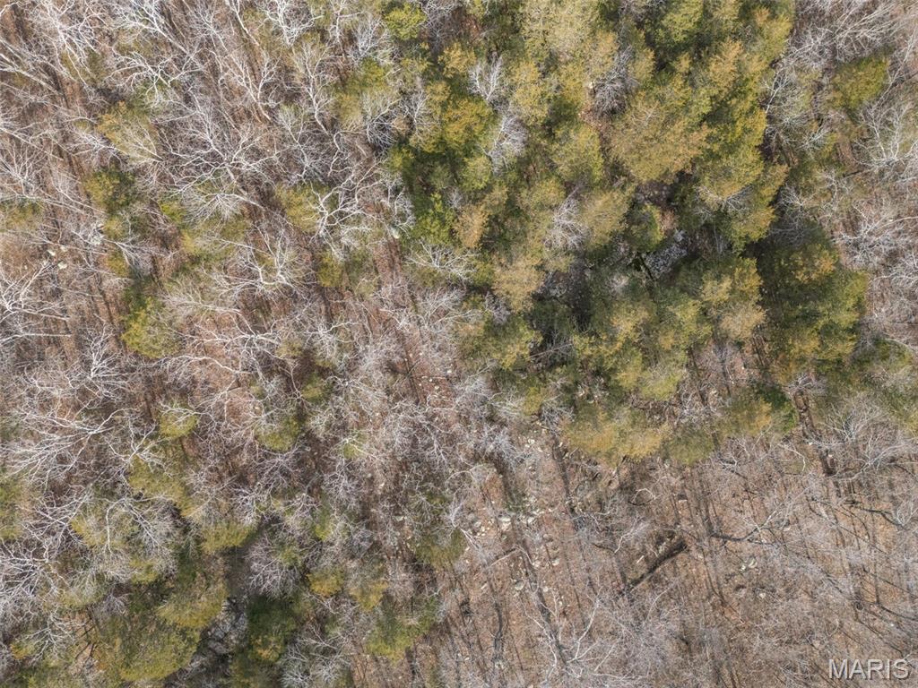 12.5+/- Acres On Effin Road