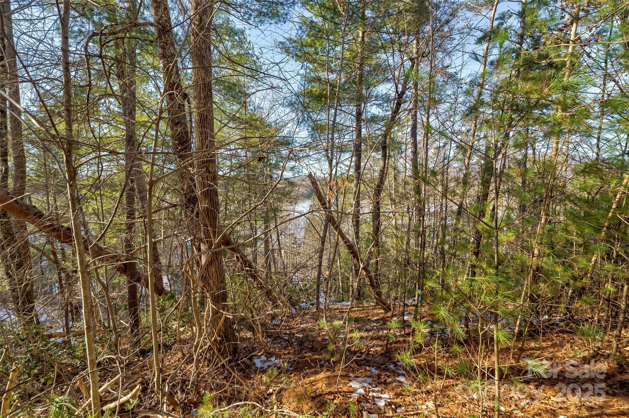 802 Harborside Drive 88