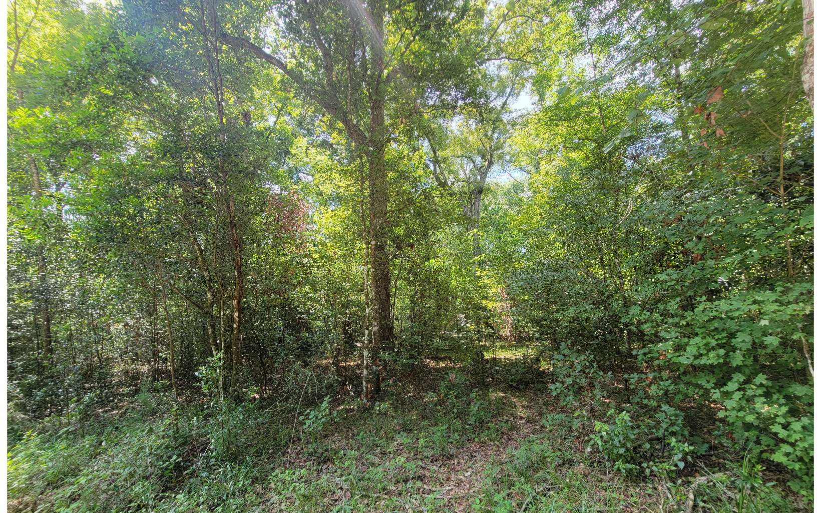 Three Rivers Estates Florida For Sale