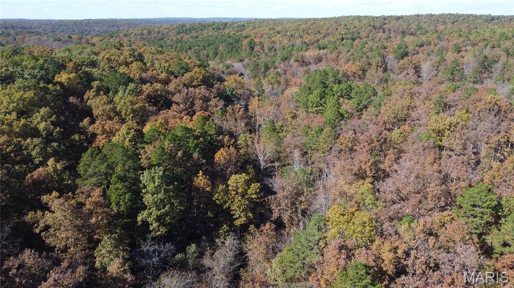 10256 Christina Trail