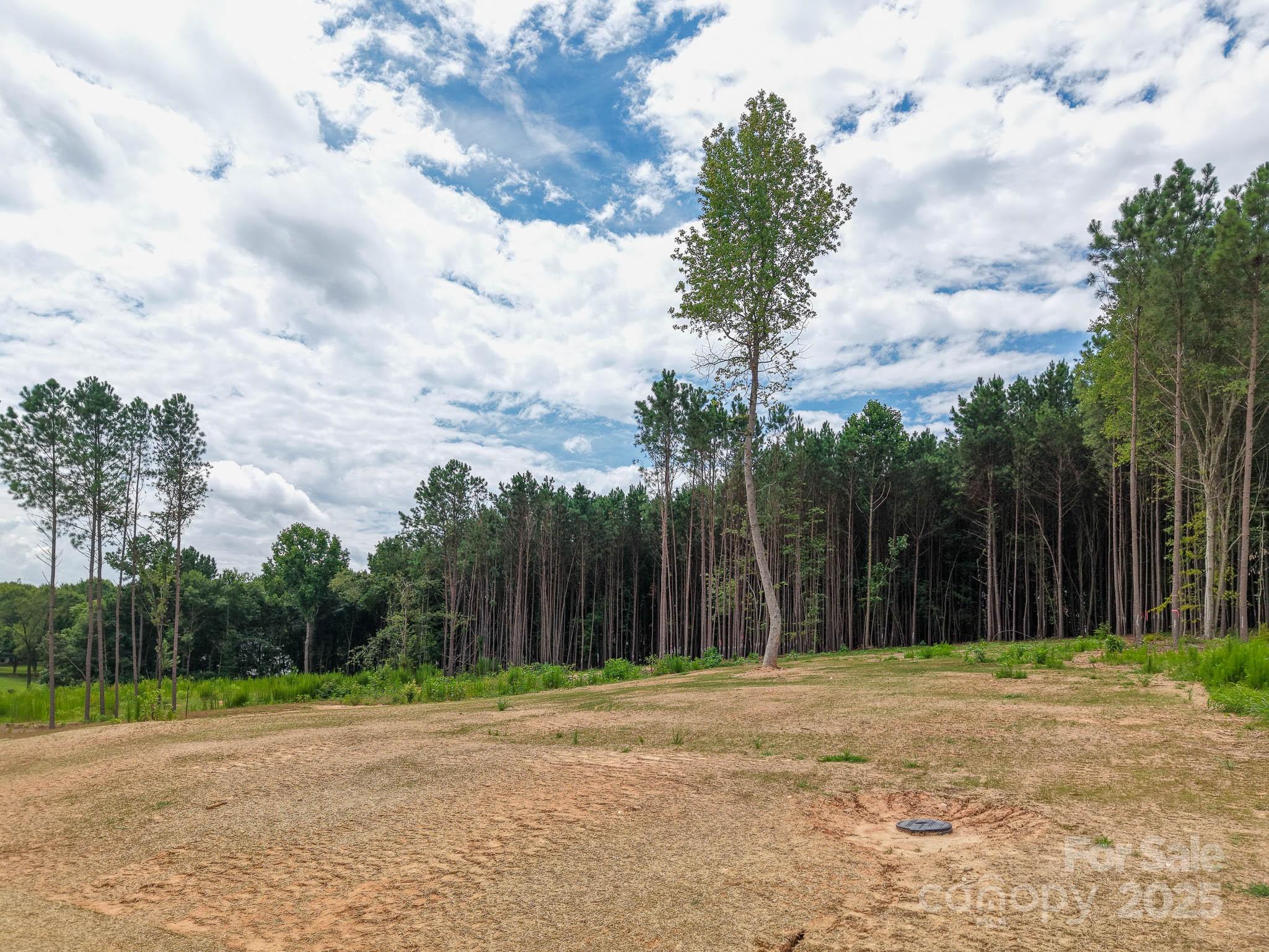 4251 Candlewood Drive