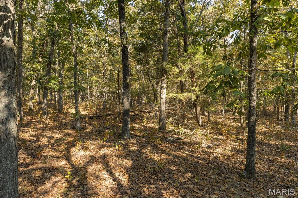12.5+/- Acres On Effin Road