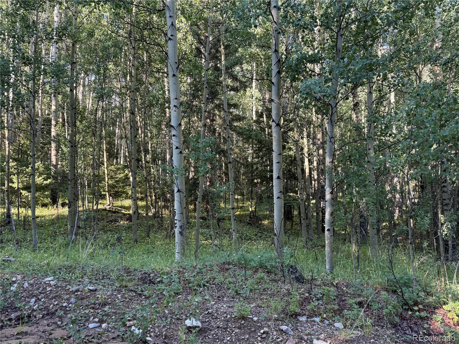 Lot 5331 Hull Road