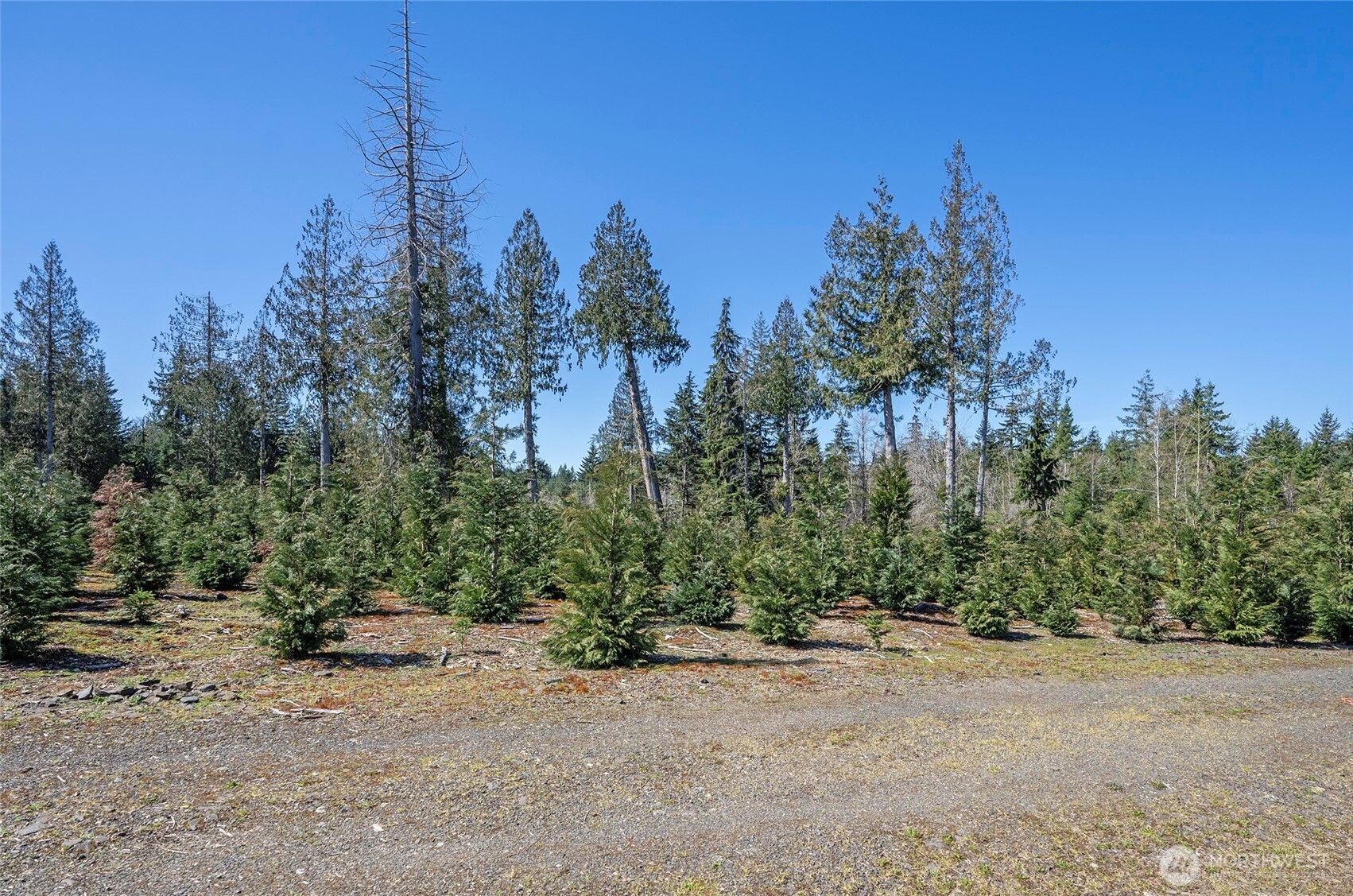 1800 E Harstine Island Road N