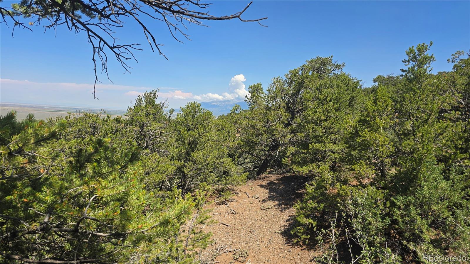 Lot 1416 Michaels Road