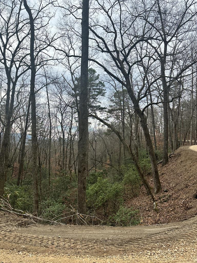 6.43 +/- Acres waiting for you to do what you WANT!  No restrictions, raw, and ready!  Build your dream home the way you want.  Don't miss the opportunity to own 6.43 acres of land perfect for whatever your heart desires. View adjacent to property.