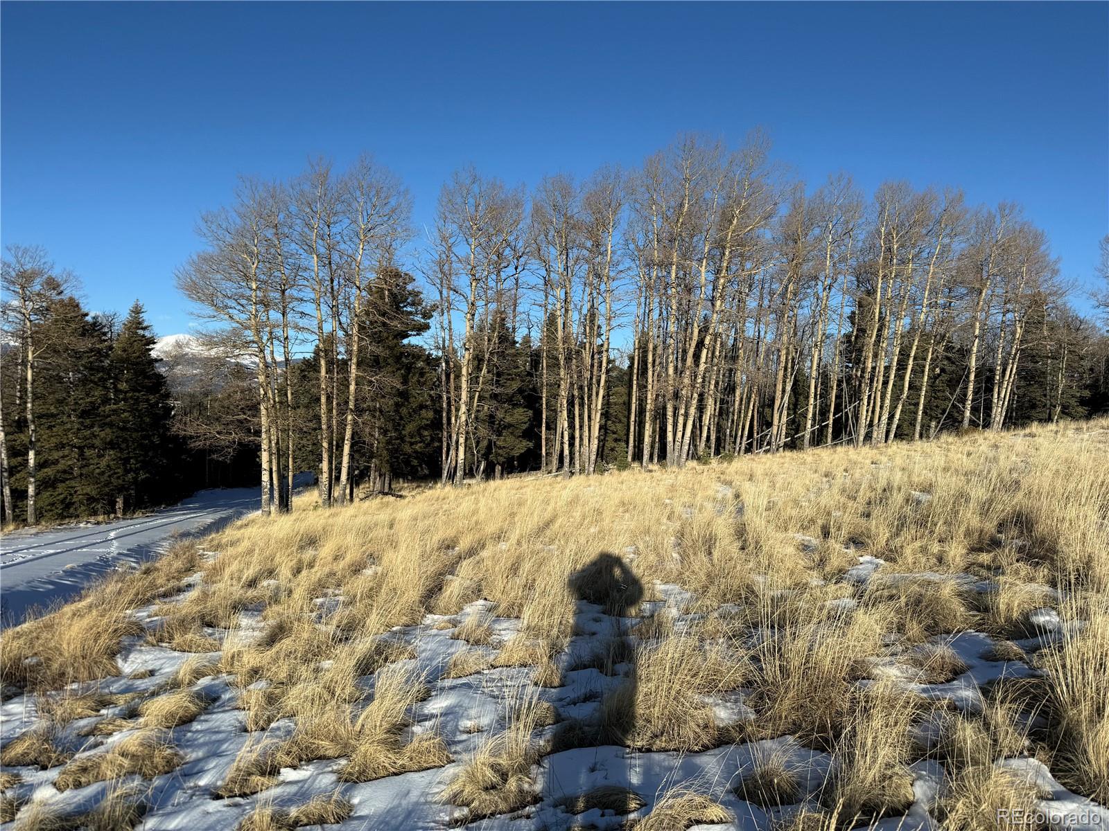 Lot 499 Collinson Drive