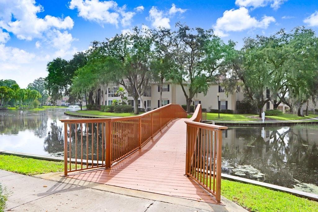 10359 Carrollwood Lane 157