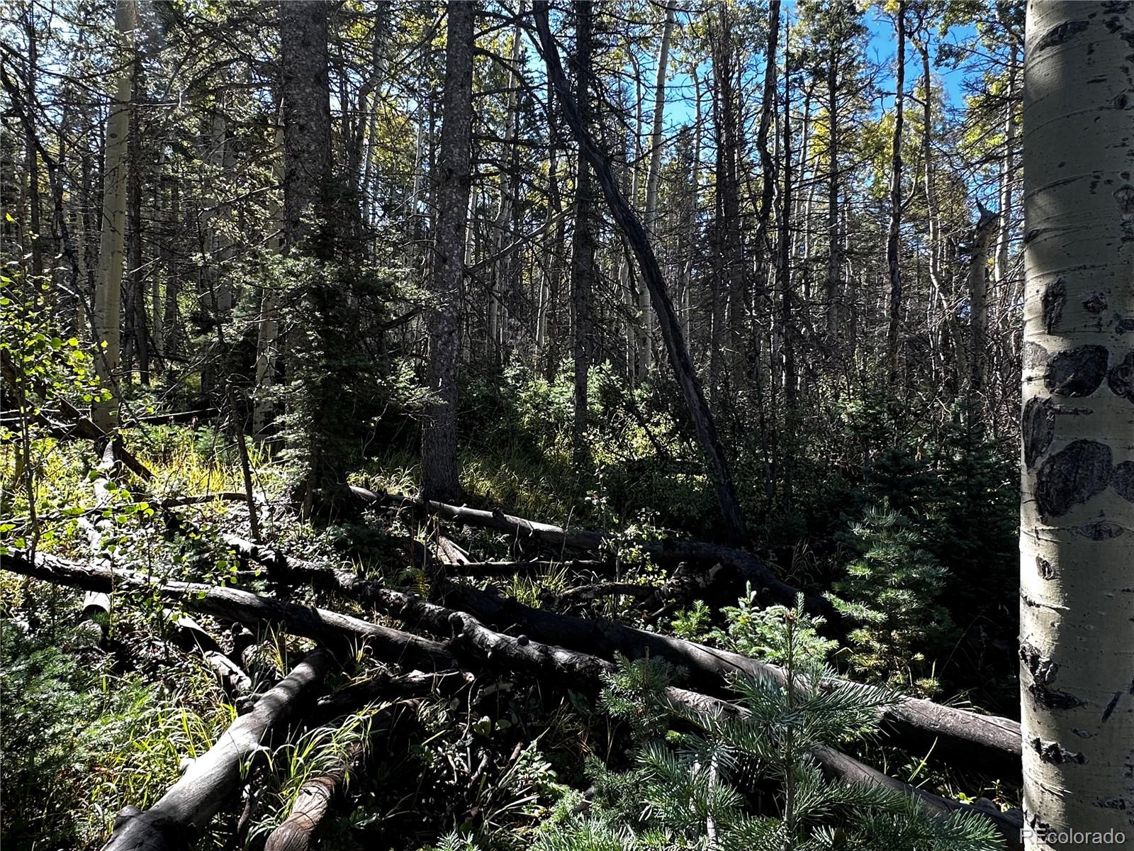 Lot 2652 Petito Drive