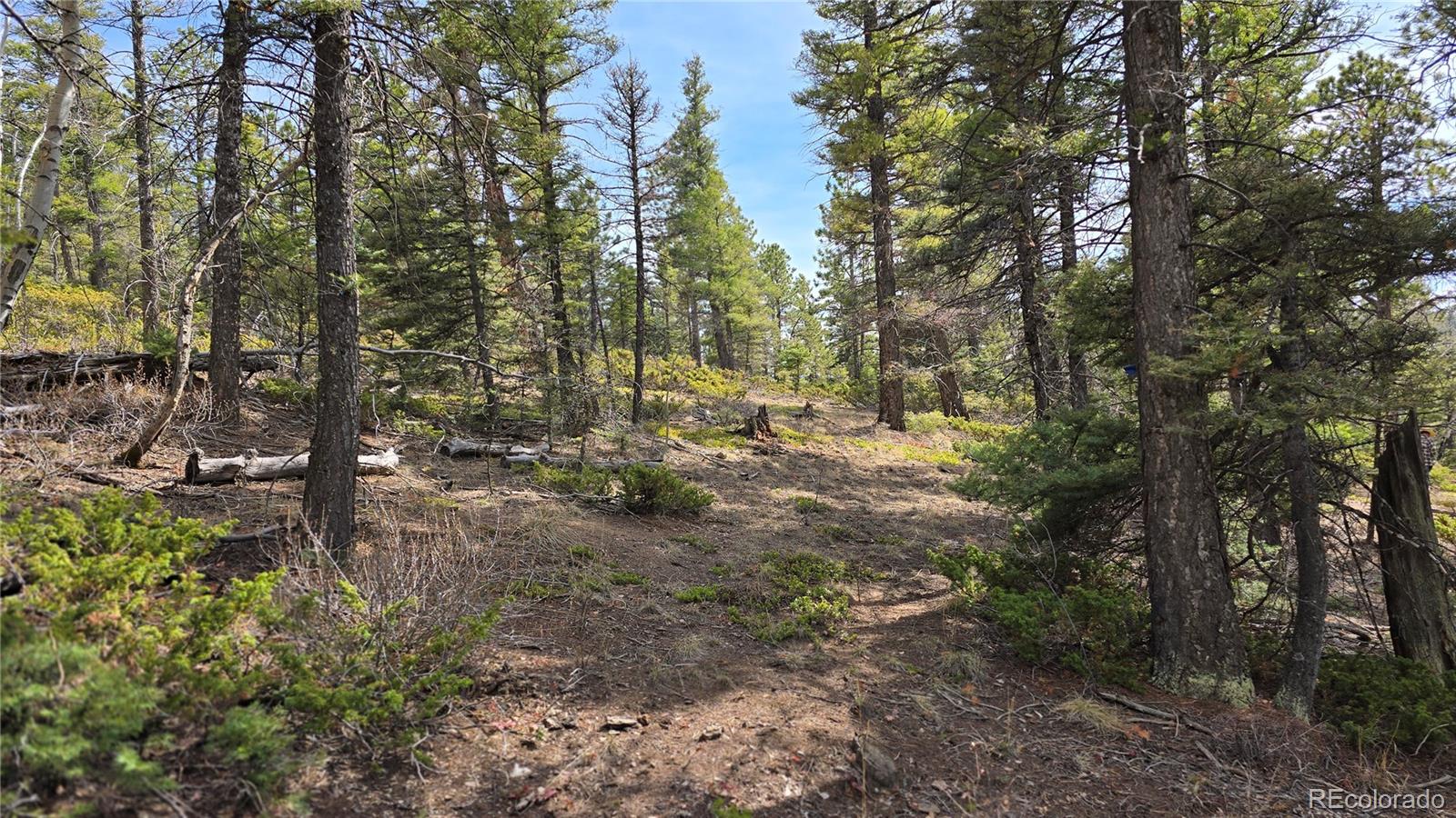 Lot 6070 Vreeland Road