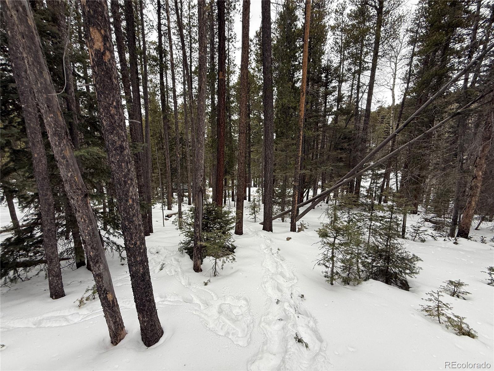 Lot 2805 Moir Drive