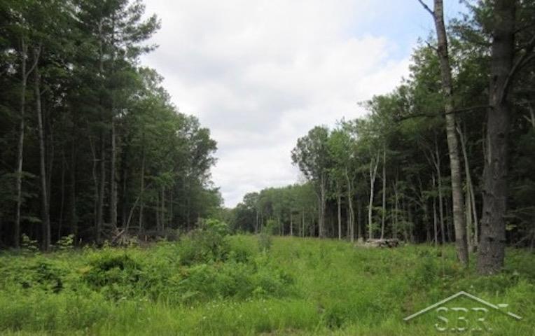 Rare opportunity to acquire 27 acres of wooded, residential-zoned land in a high-demand area near shopping and major conveniences. This property offers strong potential for a private estate, future development, combination, or long-term investment. Utilities are available at the road, and the location provides easy access to nearby retail, dining, hospitals and commuter routes-making it highly attractive for future use. Large parcels this close to town are increasingly hard to find!
