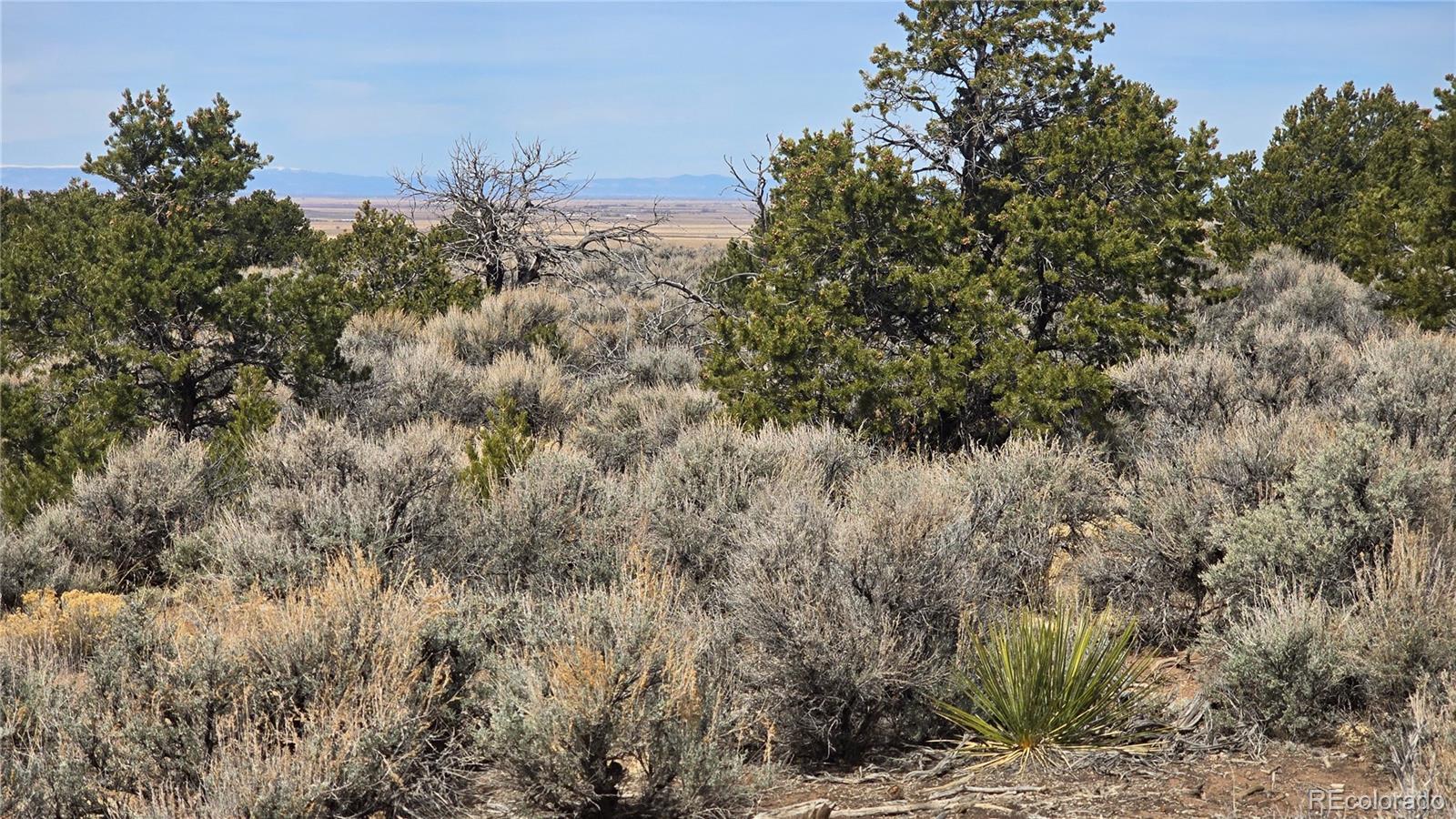 Lot 1248 Juarez Road