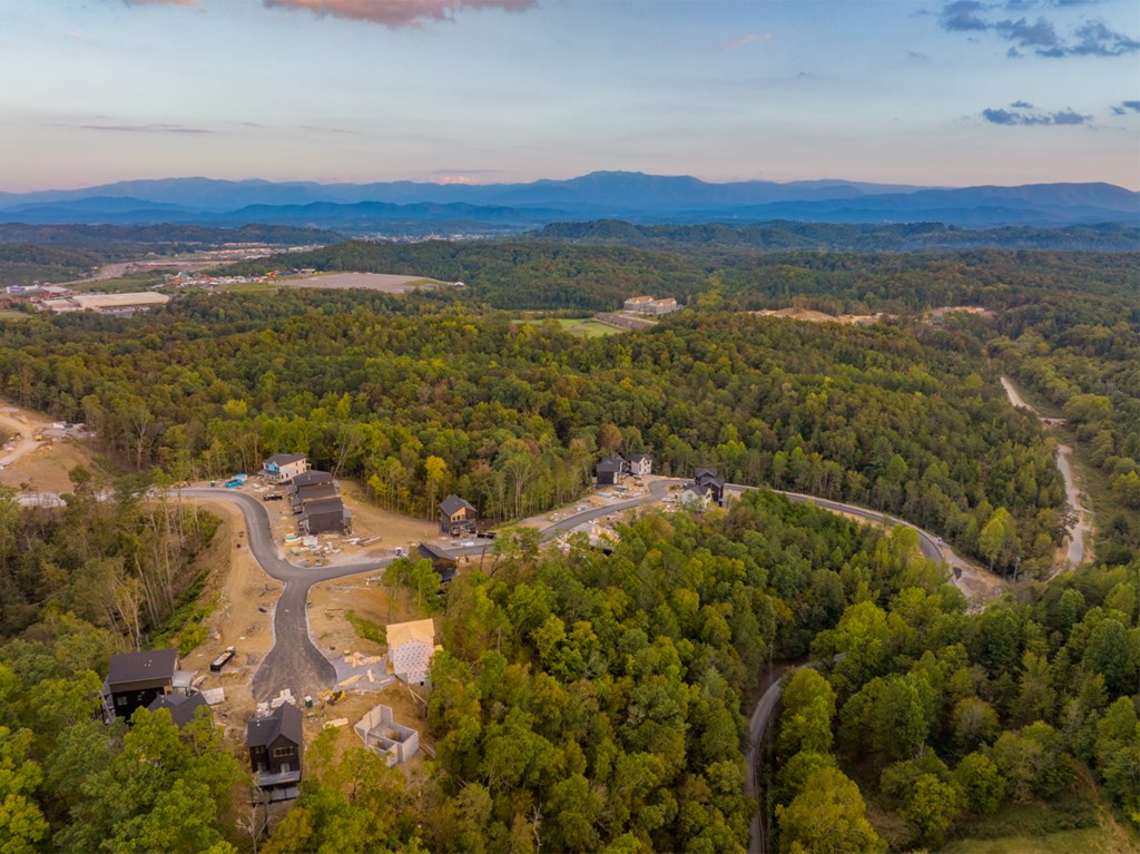 Lot 145 Reedmont Way