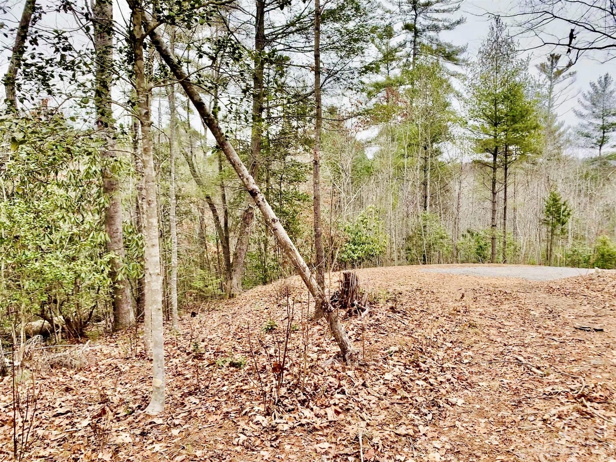 5.24 acres, Lot 87 Round Mountain Parkway Lot 87