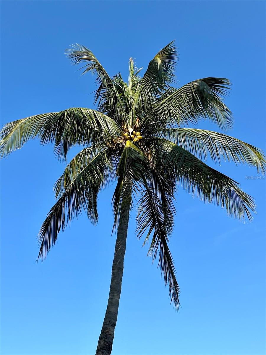 184 Banyan Bay Drive