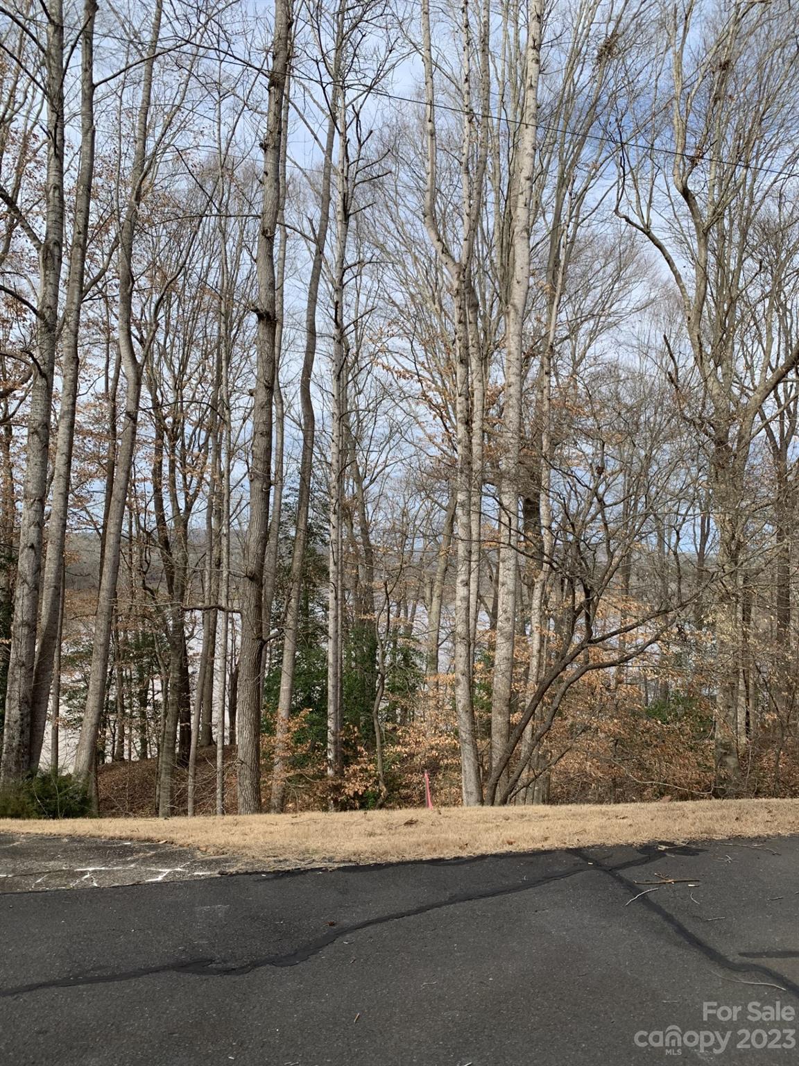 231 Overlook Drive